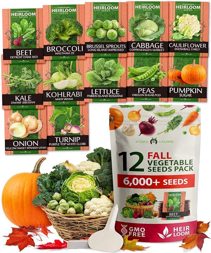 HOME GROWN 12 Fall Vegetable Seeds - USA Heirloom Non GMO Fall & Winter Vegetable Seeds for Planting Home Garden: Beets, Broccoli, Cabbage, Kale, Onion, Peas, Pumpkin, Turnip, Lettuce & More