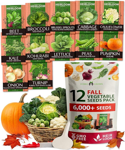 HOME GROWN 12 Fall Vegetable Seeds - USA Heirloom Non GMO Fall & Winter Vegetable Seeds for Planting Home Garden: Beets, Broccoli, Cabbage, Kale, Onion, Peas, Pumpkin, Turnip, Lettuce & More