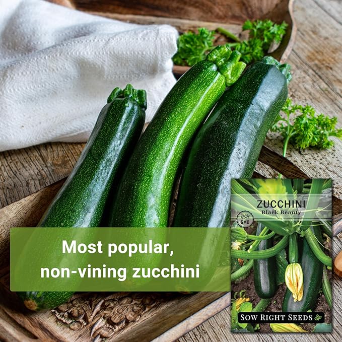 Sow Right Seeds - Black Beauty Zucchini Seeds for Planting - Non-GMO Heirloom Packet with Instructions to Plant a Home Vegetable Garden - Summer Squash - Classic Zucchini Good for Large Containers (3)