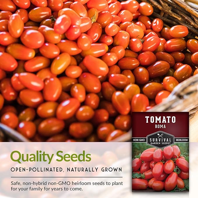 1 Pack Roma Tomato Seeds for Planting with Instructions to Grow Italian Roma Tomatoes in Your Home Vegetable Garden - Canning Favorite - Non-GMO Heirloom - Survival Garden Seeds