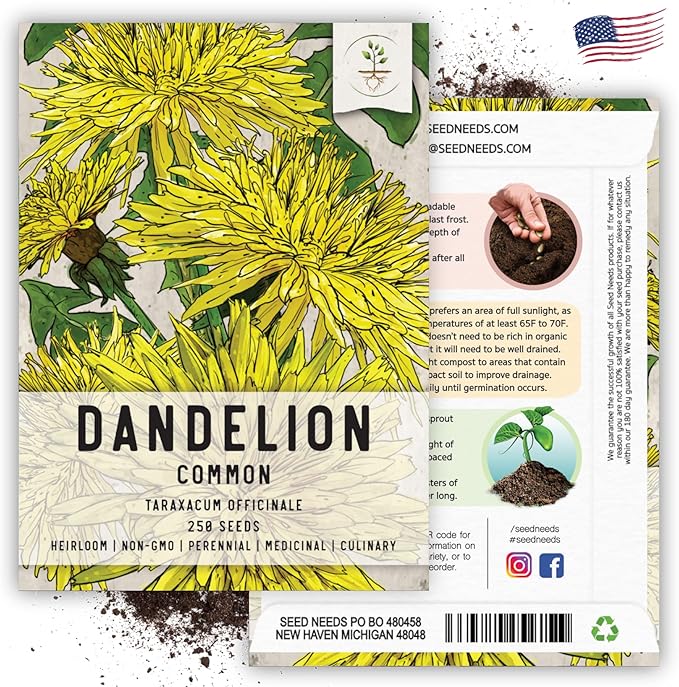 Seed Needs Dandelion Seeds for Planting - Non-GMO, Heirloom & Untreated Perennial Herbs - Organically Grow Food for Tortoises, Rabbits & Bearded Dragons (2 Packs)