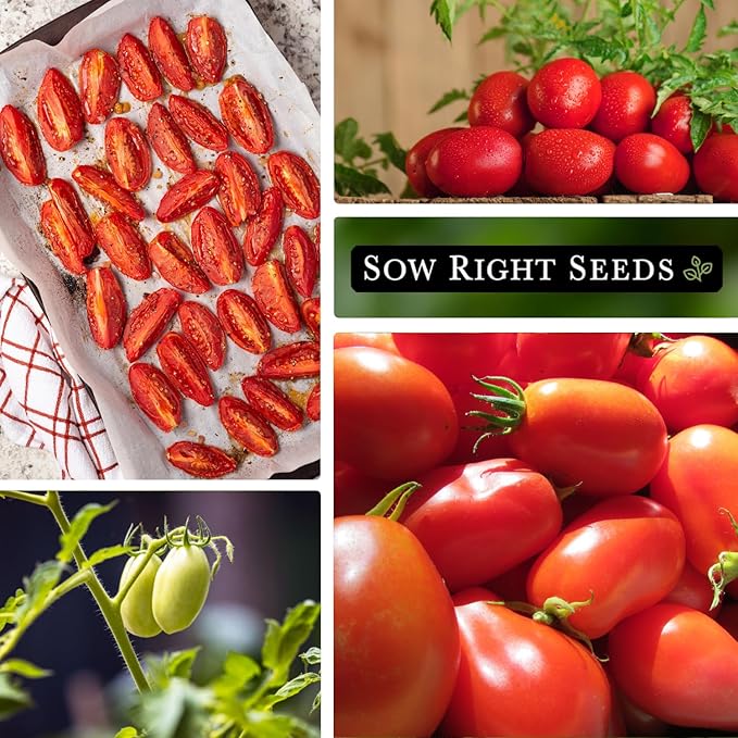 Sow Right Seeds - Roma Tomato Seeds for Planting - Non-GMO Heirloom Packet with Instructions to Plant a Home Vegetable Garden - Classic Medium Red Tomato - Great for Sauce Making (4)
