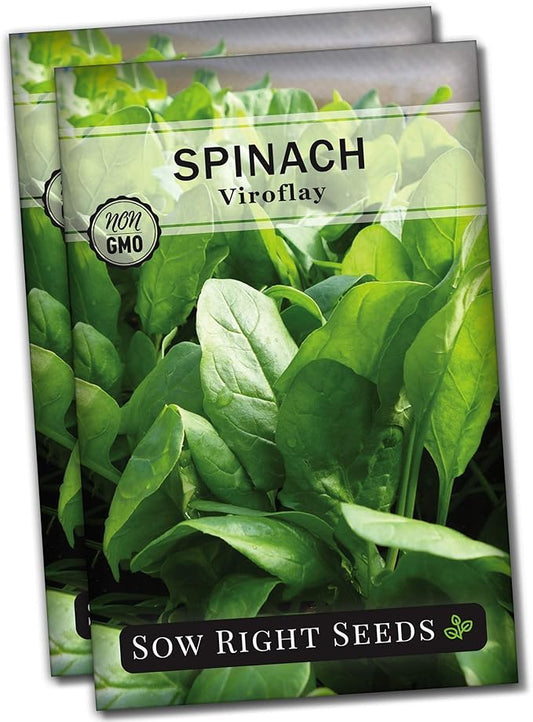 Sow Right Seeds - Viroflay Spinach Seed for Planting - Non-GMO Heirloom Packet with Instructions to Plant a Vegetable Garden - Grow Leafy Green Nutritious Superfood - Hydroponic Growing Friendly (2)