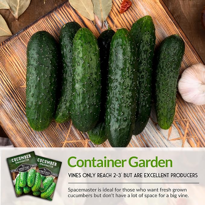 2 Packs Spacemaster Cucumber Seed for Planting - Seed Packet with Instructions to Grow Container Friendly Cucumbers in Your Home Vegetable Garden - Non-GMO Heirloom Variety - Survival Garden Seeds