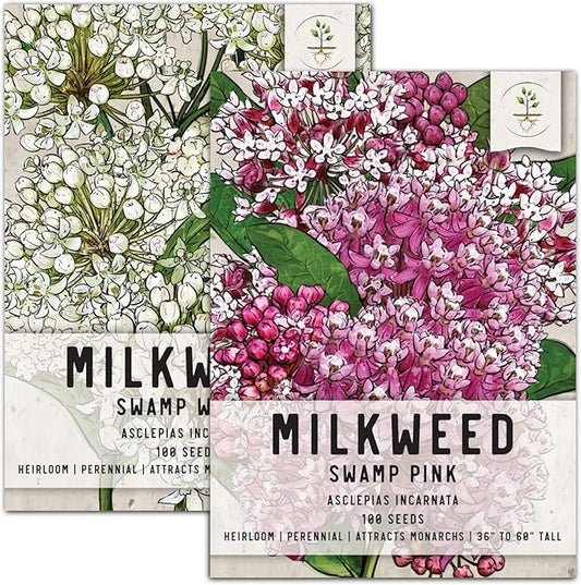 Seed Needs, Swamp Milkweed Seed Packet Collection (2 Varieties of Asclepias for Planting and Attracting Monarch Butterflies) Heirloom, Untreated & Open Pollinated