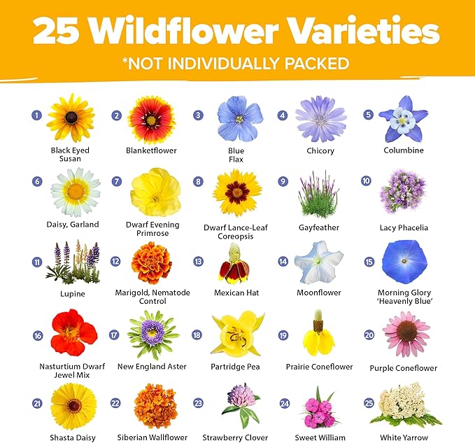 HOME GROWN 44,000 Wildflower Seeds: 2oz Perennial Wild Flower Seeds Mix - Flower Garden Seeds for Attracting Birds & Butterflies - 25 Variety Wildflowers Seed for Planting Outdoor Garden Flowers