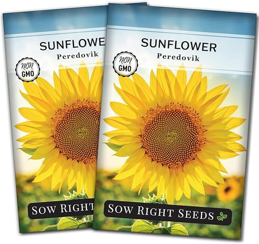 Sow Right Seeds - Peredovik Sunflower Seeds for Planting - Non-GMO Heirloom Packet with Instructions for Growing - Russian Black Sun Flower - Great for Wildlife and Sunflower Oil - Annual Blooms (2)