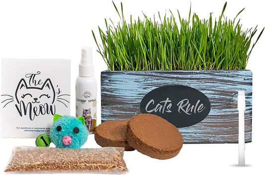 Ornamental Indoor Planter with Pet/Cat Grass Growing kit, Handcrafted in The USA from Red Cedar (Aged Tourquoise)