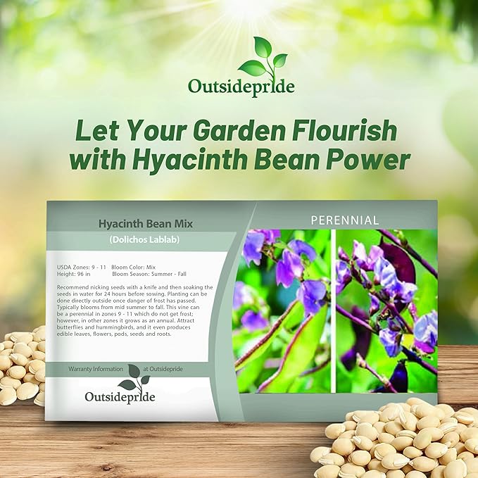 Outsidepride 200 Seeds Perennial Dolichos Lablab Hyacinth Bean Vine & Flower Seed Mix for Planting