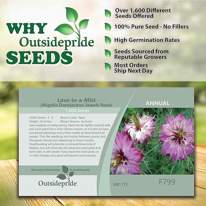 Outsidepride 2000 Seeds Annual Nigella Rose Love-in-a-Mist Flower Seeds for Planting