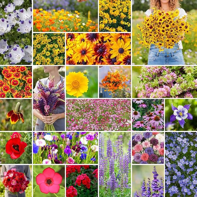 Eden Brothers Western Wildflower Mixed Seeds for Planting, 10 lb, 4,800,000+ Seeds with Cornflower, Blanket Flower | Attracts Pollinators, Plant in Spring or Fall, Zones 3, 4, 5, 6, 7, 8, 9, 10