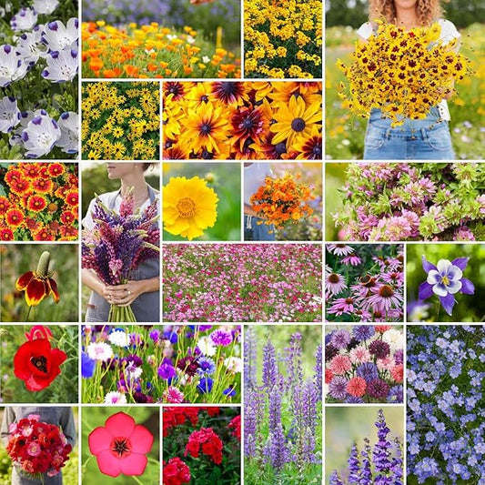 Eden Brothers Western Wildflower Mixed Seeds for Planting, 5 lb, 2,400,000+ Seeds with Cornflower, Blanket Flower | Attracts Pollinators, Plant in Spring or Fall, Zones 3, 4, 5, 6, 7, 8, 9, 10