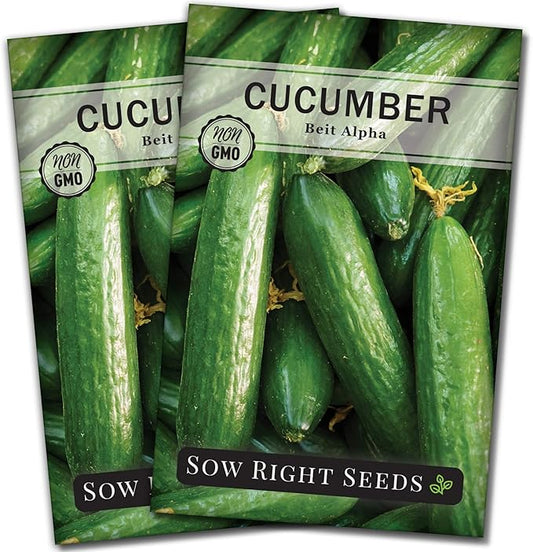 Sow Right Seeds - Beit Alpha Cucumber Seeds for Planting - Non-GMO Heirloom Packet with Instructions to Plant and Grow a Home Vegetable Garden - Start Indoors, Plant Outdoors with Trellis (2)