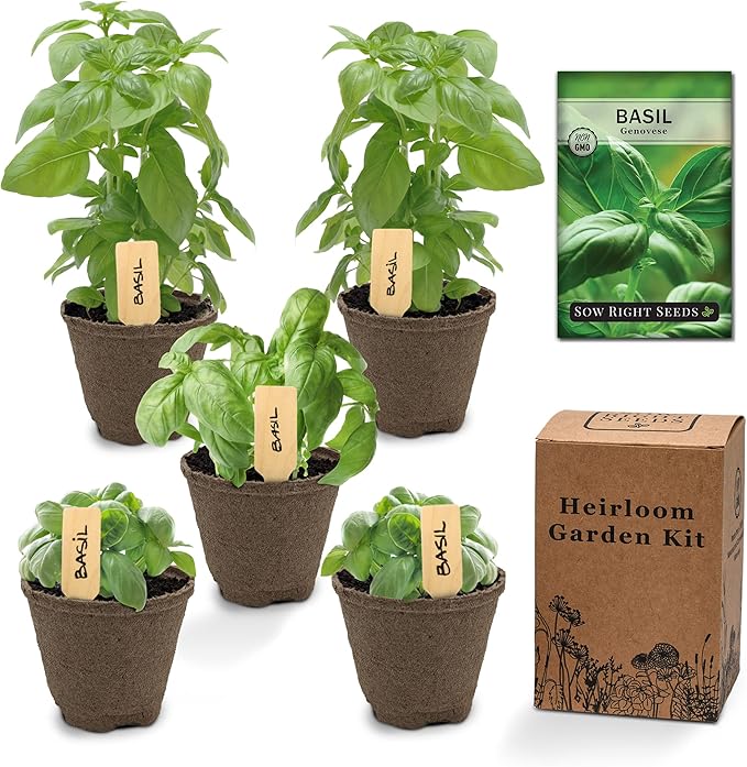 Sow Right Seeds - Genovese Basil Garden Kit - Non-GMO Heirloom Herb Seeds for Planting Indoors - Includes Pots & Potting Soil - Complete Growing Set-Up for Home Garden - Makes a Good Gardening Gift