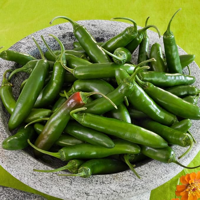 Bonnie Plants Serrano Pepper 19.3 oz. 4 Pack