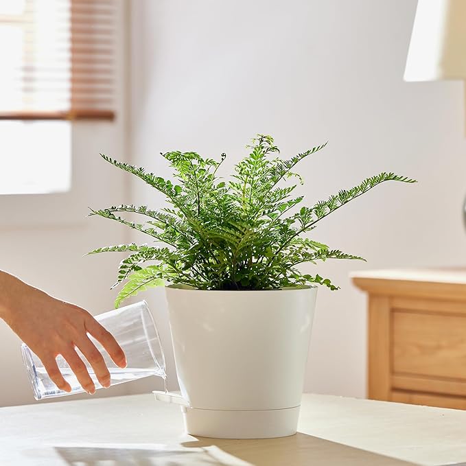 FaithLand 2-Pack 8 Inch Planter Pots for Indoor Outdoor Plants, Self Watering Flower Pots with Deep Reservoir, White …