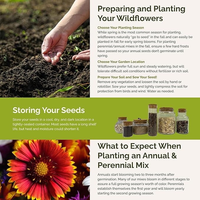 Eden Brothers North Dakota Wildflower Mixed Seeds for Planting, 1/4 lb, 120,000+ Seeds with Calendula, Sunflower | Attracts Pollinators, Plant in Spring or Fall, Zones
