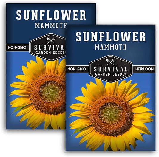Survival Garden Seeds - Mammoth Sunflower Seed for Planting - 2 Packs with Instructions to Plant and Grow Enormous Colorful Flowers in Your Home Flower or Vegetable Garden - Non-GMO Heirloom Variety