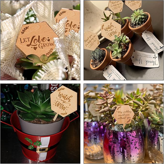 Let Love Grow Succulent Tags Wedding Favors, PARBEE 40PCS Hexagon Plant Sticks Wooden Stake Signs for Wedding Bridal Shower Baby Shower Anniversary Succulent Party Favors