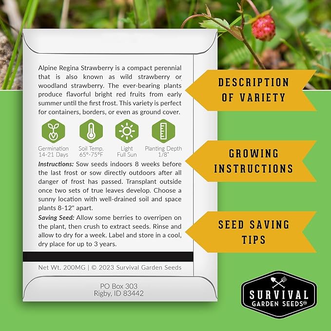 Survival Garden Seeds Alpine Regina Strawberry - 1 Packet of Fruit Seed with Instructions to Plant & Grow Wild Strawberries/Woodland Fruits in The Home Vegetable Garden - Non-GMO Heirloom Variety