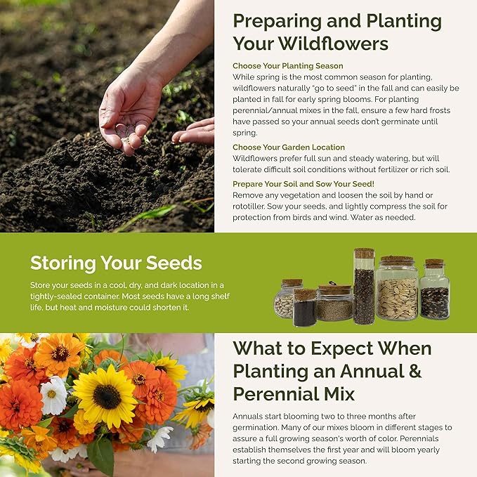 Eden Brothers Sunset Flower Mixed Seeds for Planting, 5 lb, 2,400,000+ Seeds with Cosmos, Zinnia, Sunflower, Corn Marigold, Attracts Pollinators, Plant in Spring or Fall, Zones 3, 4, 5, 6, 7, 8, 9, 10