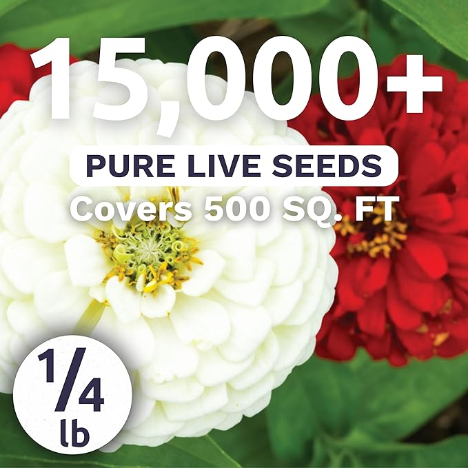Zinnia Stop Sign Mix - Bulk 1/4 Pound Pouch - 15,000 Flower Seeds for Planting - Zinnia elegans