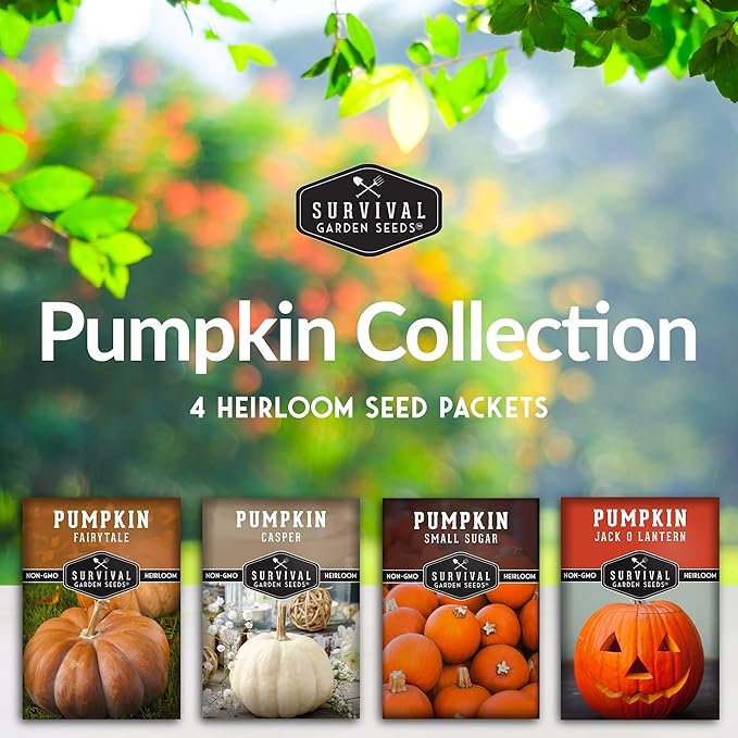 Survival Garden Seeds Pumpkin Collection Seed Vault - Non-GMO Heirloom Seeds for Planting Vegetables - Casper, Fairy Tale, Jack O'Lantern, Small Sugar Pumpkins for Growing in Your Vegetable Garden