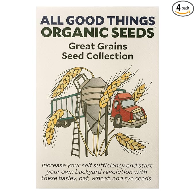 All Good Things Organic Great Grains Seed Collection - 4 Packets - Barley, Oat, Wheat, Rye Pack of 600 Heirloom Seeds For Planting Vegetables, Gardening Supplies, Grain, Grass - Non-GMO, From USA