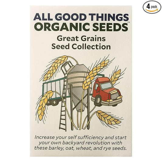 All Good Things Organic Great Grains Seed Collection - 4 Packets - Barley, Oat, Wheat, Rye Pack of 600 Heirloom Seeds For Planting Vegetables, Gardening Supplies, Grain, Grass - Non-GMO, From USA