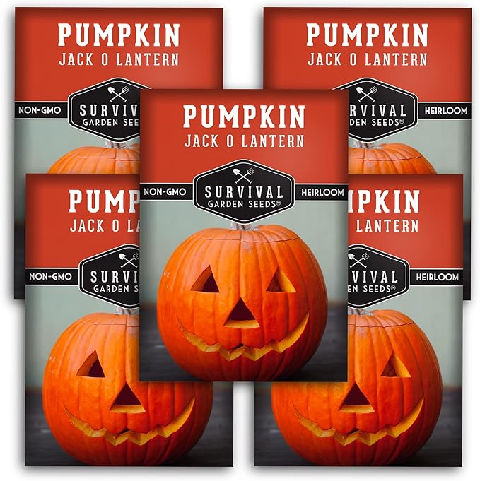 Survival Garden Seeds - Jack-O-Lantern Pumpkin Seed for Planting - 5 Packs with Instructions to Plant and Grow Orange Carving Pumpkins in Your Home Vegetable Garden - Non-GMO Heirloom Variety
