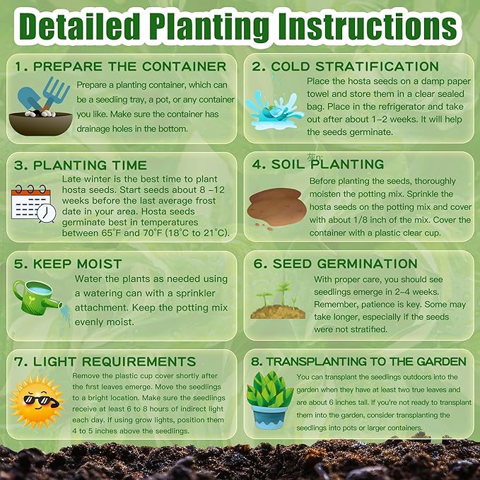 Purple Hosta Seeds Perennial Hosta Plants Seeds for Planting Outdoor Garden Low Maintenance 200Pcs