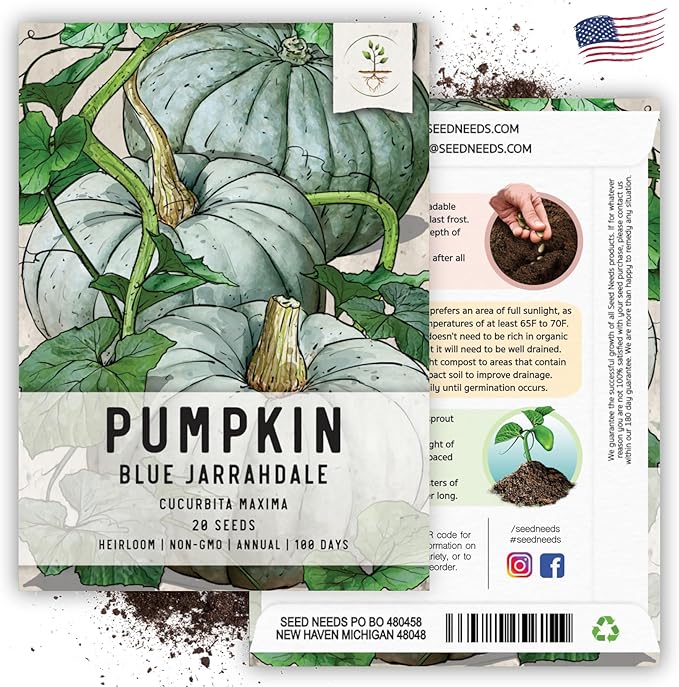 Seed Needs, Blue Jarrahdale Pumpkin Seeds - 20 Heirloom Seeds for Planting Cucurbita Maxima - Non-GMO & Untreated - Tasty Decorative Pumpkin for Halloween & Fall (2 Packs)
