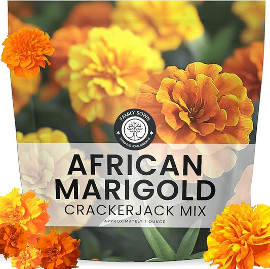 African Marigold Crackerjack - Large 1 Ounce Packet - 10,000 Flower Seeds for Planting - Tagetes erecta