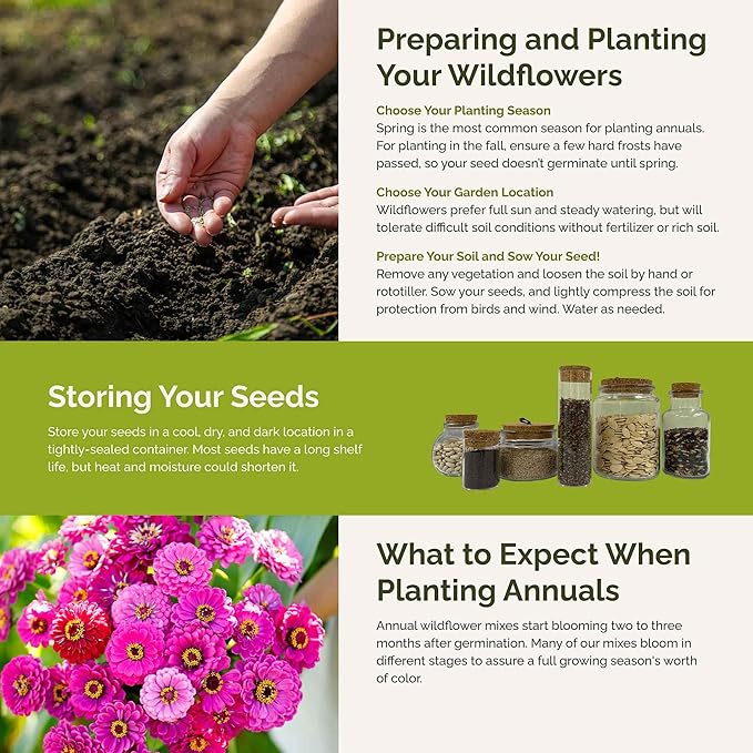 Eden Brothers Cupid's Flower Seed Mixed Seeds for Planting, 1 oz, 4,800,000+ Seeds with Malop Vulcan, Zinnia | Attracts Pollinators, Plant in Spring, Zones 2, 3, 4, 5, 6, 7, 8, 9, 10