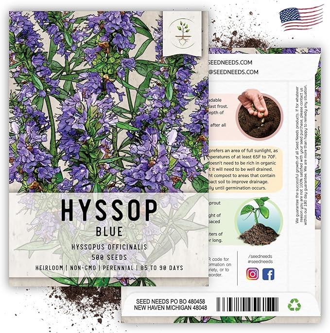 Seed Needs, Blue Hyssop Seeds - 500 Heirloom Seeds for Planting Hyssopus officinalis - Medicinal Herb for an Indoor/Outdoor Garden, Non-GMO & Untreated (1 Pack)