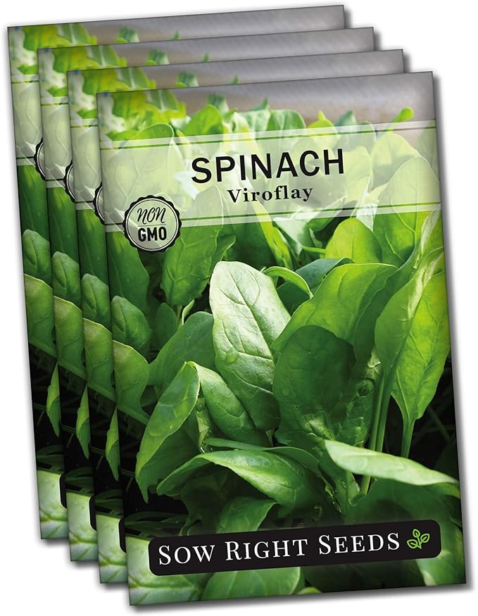 Sow Right Seeds - Viroflay Spinach Seed for Planting - Non-GMO Heirloom Packet with Instructions to Plant a Vegetable Garden - Grow Leafy Green Nutritious Superfood - Hydroponic Growing Friendly (4)