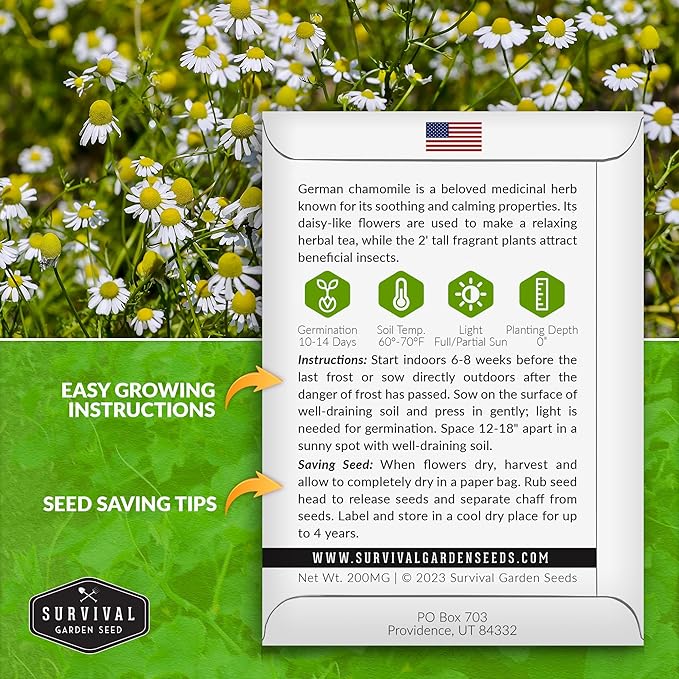 German Chamomile Seeds for Planting - 1 Packet with Instructions to Plant and Grow Matricaria chamomilla in Your Home Herb Garden - Non-GMO Heirloom Variety - Survival Garden Seeds