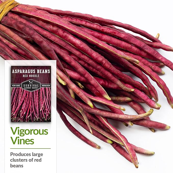 Survival Garden Seeds - Red Noodle Asparagus Bean Seed for Planting - 2 Packs with Instructions to Plant and Extremely Long Stringless Beans in Your Home Vegetable Garden - Non-GMO Heirloom Variety