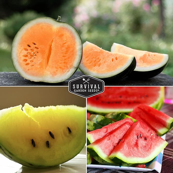 Survival Garden Seeds Tri-Color Watermelon Collection - 3 Packs of Fruit Seeds for Growing Watermelons - Yellow Petite, Crimson Sweet (Red) & Tendersweet Orange Varieties - Non-GMO Heirloom Mix