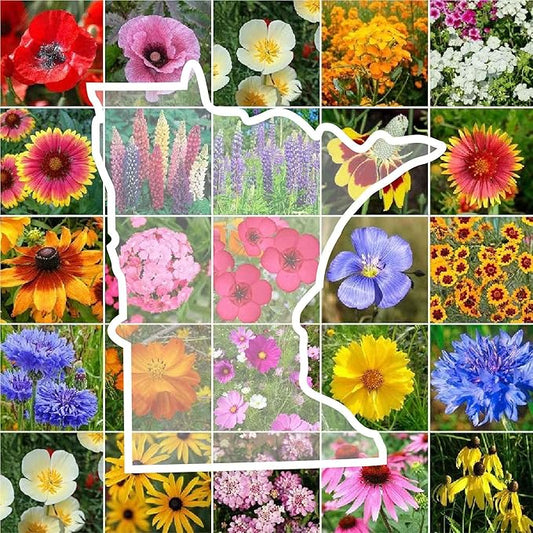 Eden Brothers Minnesota Wildflower Mixed Seeds for Planting, 1 lb, 480,000+ Seeds with Cornflower, Blanket Flower | Attracts Pollinators, Plant in Spring or Fall, Zones