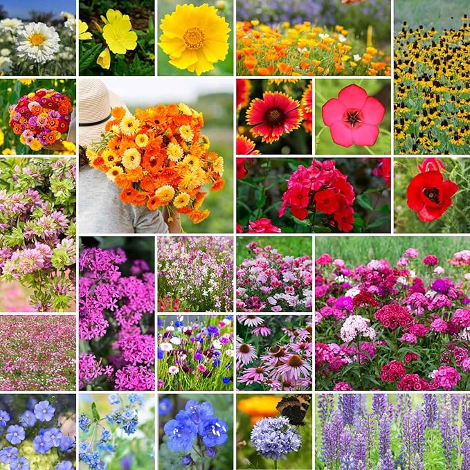 Eden Brothers Heirloom Flower Mixed Seeds for Planting, 5 lb, 2,400,000+ Seeds with Zinnia, Toadflax, Evening Primrose | Attracts Pollinators, Plant in Spring or Fall, Zones 3, 4, 5, 6, 7, 8, 9, 10