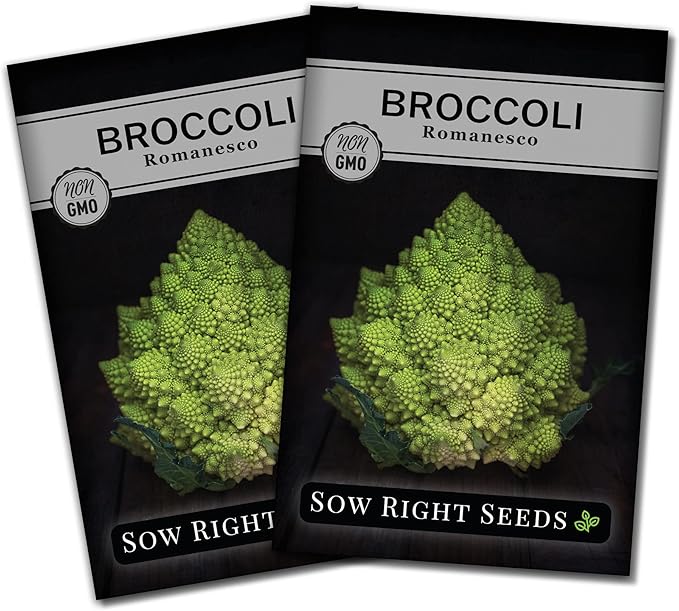 Sow Right Seeds - Romanesco Broccoli Seeds for Planting - Non-GMO Heirloom Packet with Instructions to Plant an Outdoor Home Vegetable Garden - Great for Salads - Abundant Harvest - Cold Hardy (2)