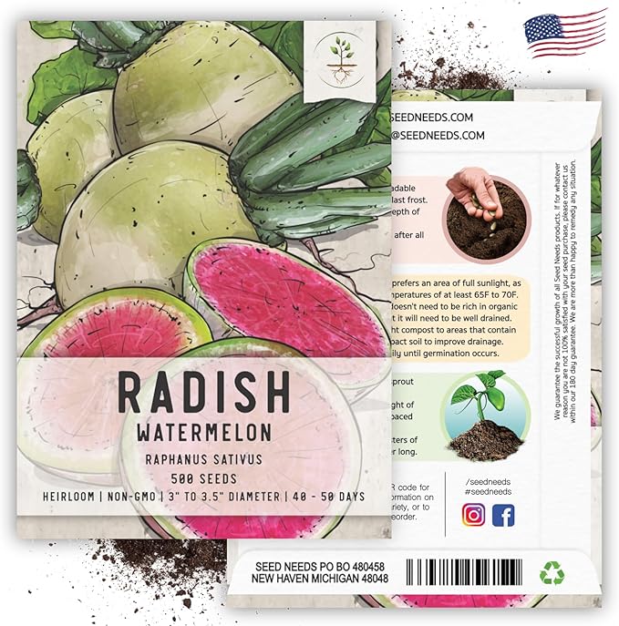 Seed Needs Watermelon Radish Seeds for Planting - Non-GMO, Heirloom & Untreated - Organically Grow a Home Grown Vegetable Garden - Cool Weather Crops (2 Packs)