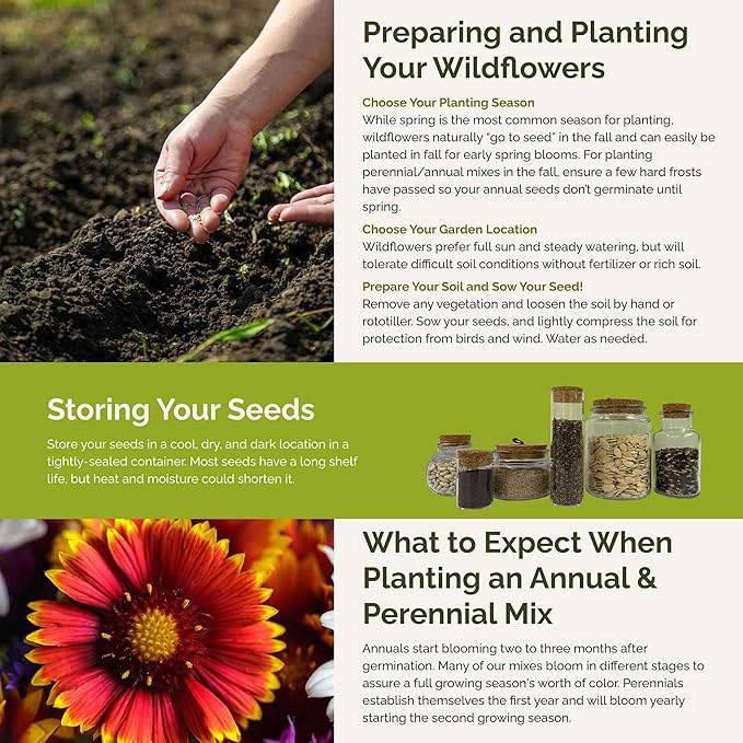 Eden Brothers Alaska Wildflower Mixed Seeds for Planting, 1/4 lb, 120,000+ Seeds with Yarrow, Foxglove, Cornflower | Attracts Pollinators, Plant in Spring or Fall, Zones