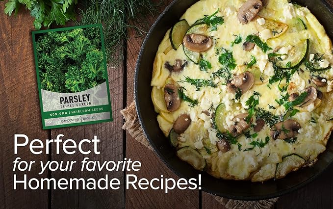 Gardeners Basics, Curled Parsley Seeds for Planting Indoors and Outdoors Heirloom, Open-Pollinated, Non-GMO Curly Herb Variety- Great for Home Gardens and More