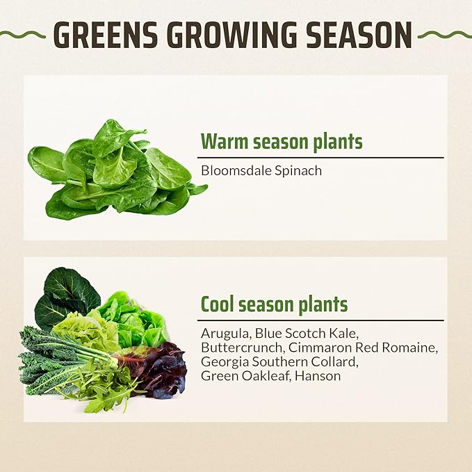 Rooted Acre 8 Lettuce & Greens Seed Vault - 1200 Non-GMO, Vegetable Heirloom Seeds for Planting Indoor or Outdoor - Hydroponic Garden Seeds - Salad Greens Mix - Spinach, Kale, Lettuce, and More