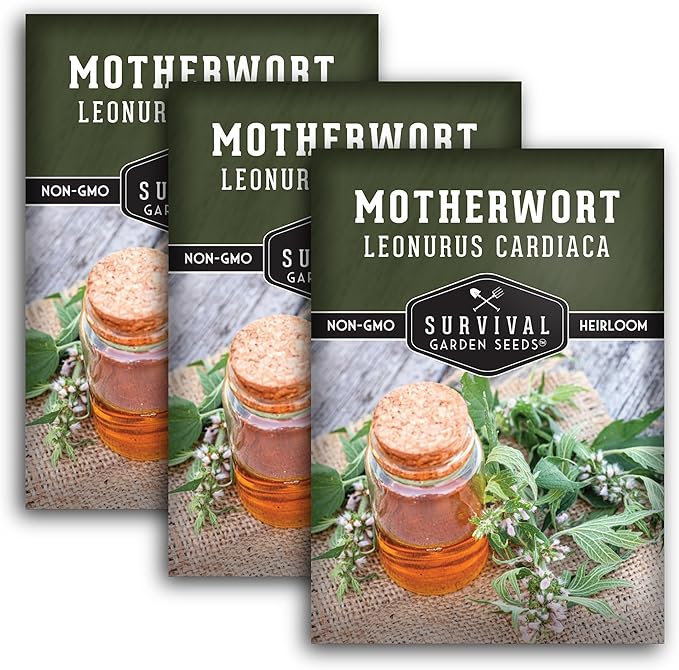 Motherwort Seed for Planting - 3 Packets with Instructions to Plant and Grow Lion's Tail Medicinal Herbs in Your Home Herb Garden - Non-GMO Heirloom Variety - Survival Garden Seeds