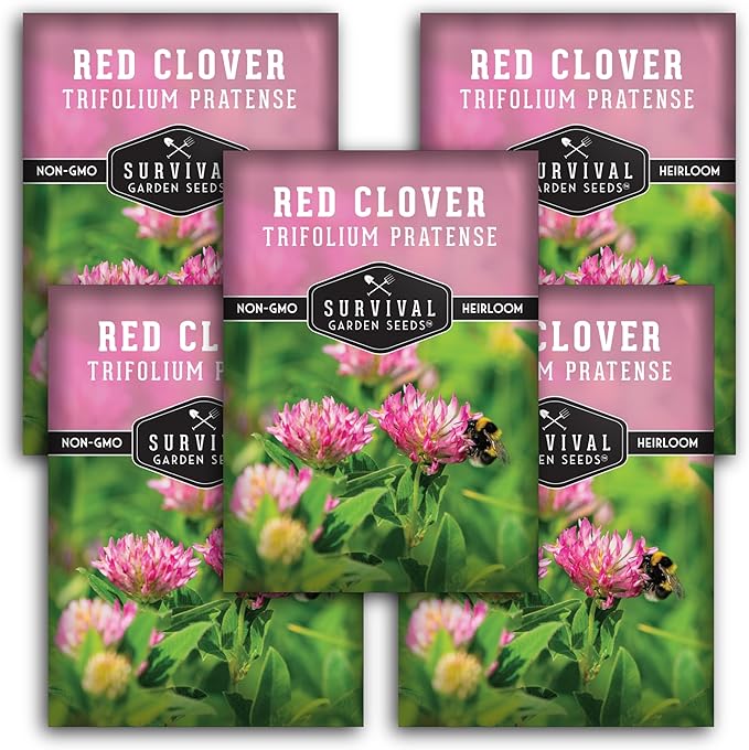 Survival Garden Seeds - Red Clover Seed for Planting - 5 Packets with Instructions to Plant & Grow a Medicinal Herb & Nitrogen Fixing Ground Cover in Your Home Garden - Non-GMO Heirloom Variety
