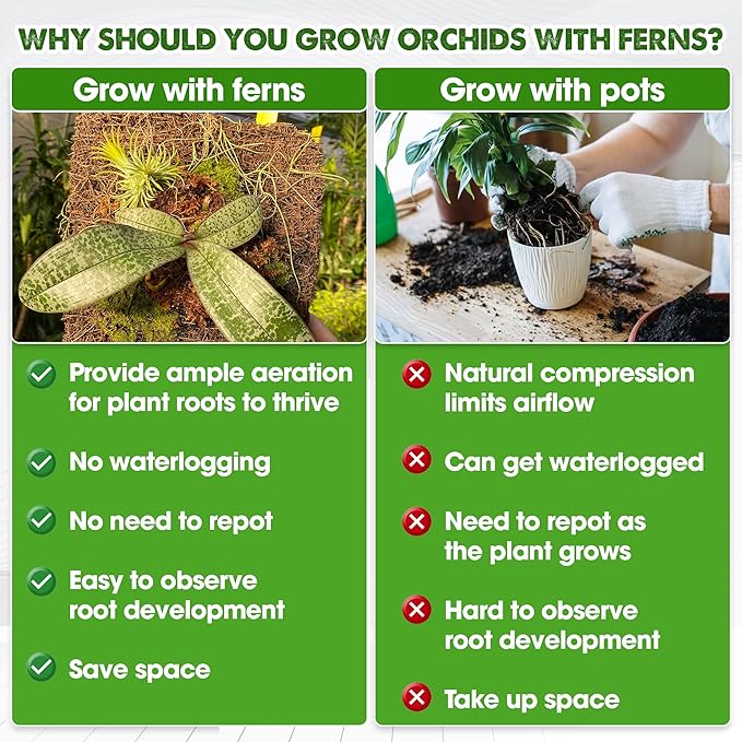 DUSPRO Tree Fern Fiber Board for Orchids, Aroids and Other Climbing Plants, 7.9 inches Staghorn Fern Mount