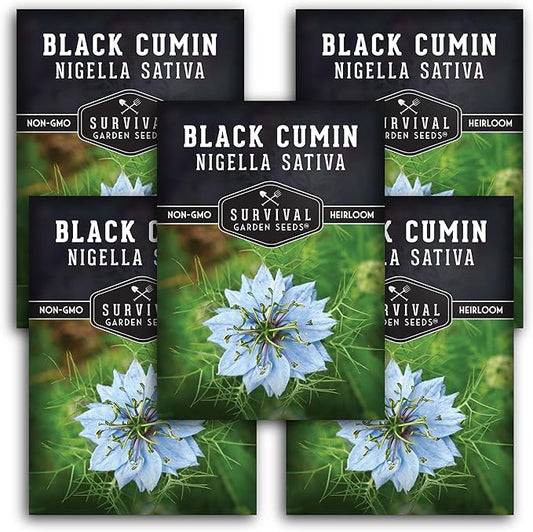 Black Cumin Seed for Planting - 5 Packets with Instructions to Plant and Grow Beneficial Nigella Sativa Plants in Your Home Vegetable Garden - Non-GMO Heirloom Variety - Survival Garden Seeds